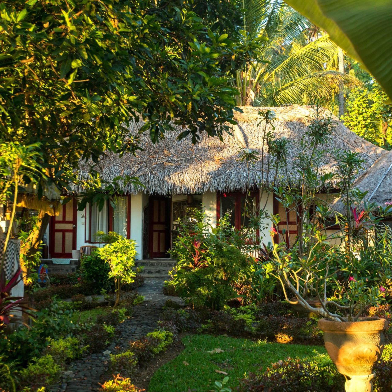 Our little Geckohouse