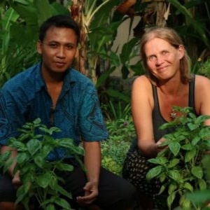 Permakultur, Yoga und Meditation in Bali