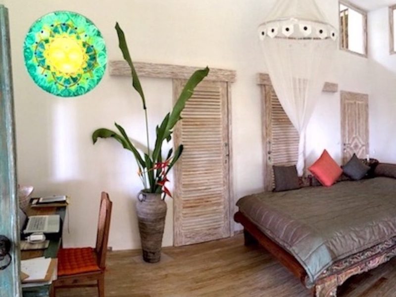 Frangipani-1-links-1-1000x774